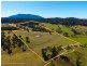 9859 Princes Highway, Cobargo NSW 2550