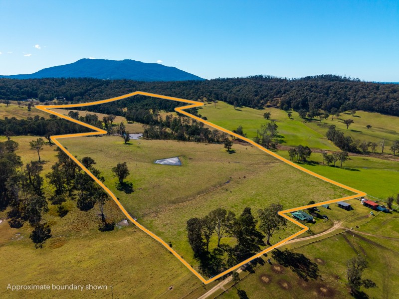 9859 Princes Highway, Cobargo NSW 2550
