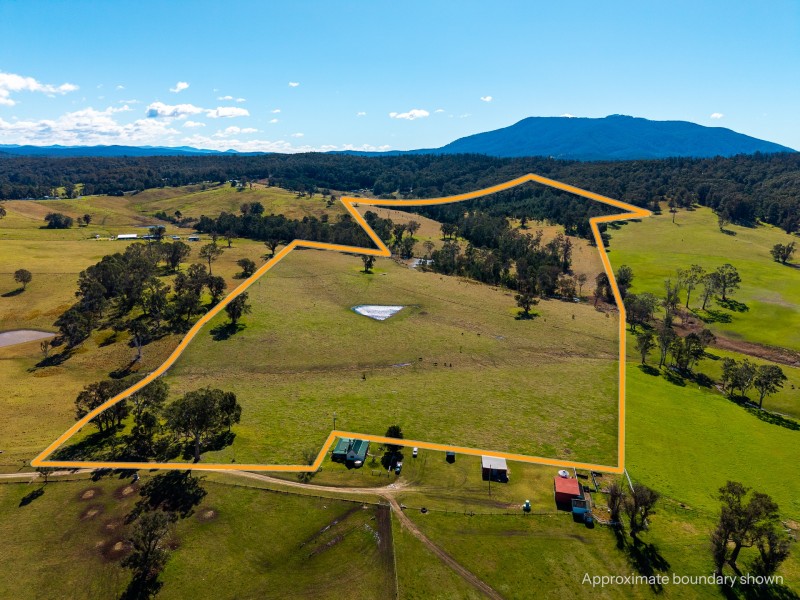 9859 Princes Highway, Cobargo NSW 2550