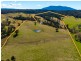9859 Princes Highway, Cobargo NSW 2550