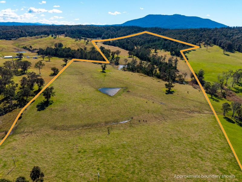 9859 Princes Highway, Cobargo NSW 2550