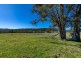 9859 Princes Highway, Cobargo NSW 2550