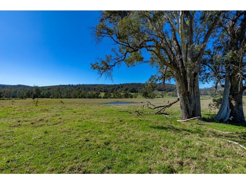 9859 Princes Highway, Cobargo NSW 2550