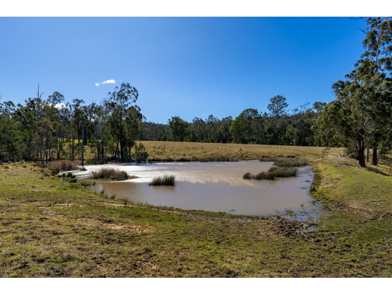 9859 Princes Highway, Cobargo NSW 2550