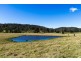 9859 Princes Highway, Cobargo NSW 2550