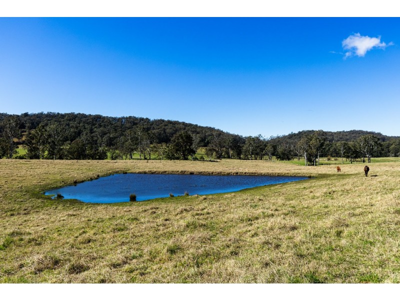 9859 Princes Highway, Cobargo NSW 2550