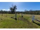 9859 Princes Highway, Cobargo NSW 2550