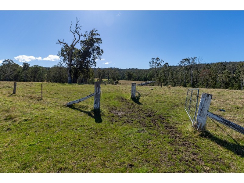 9859 Princes Highway, Cobargo NSW 2550