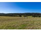 9859 Princes Highway, Cobargo NSW 2550