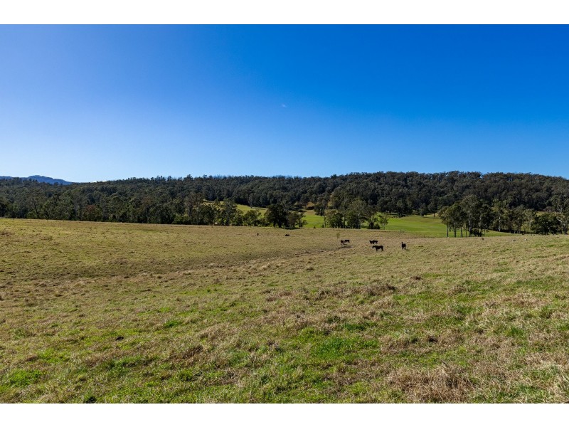 9859 Princes Highway, Cobargo NSW 2550