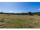 9859 Princes Highway, Cobargo NSW 2550