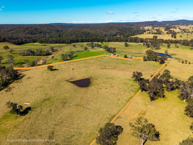 9859 Princes Highway, Cobargo NSW 2550