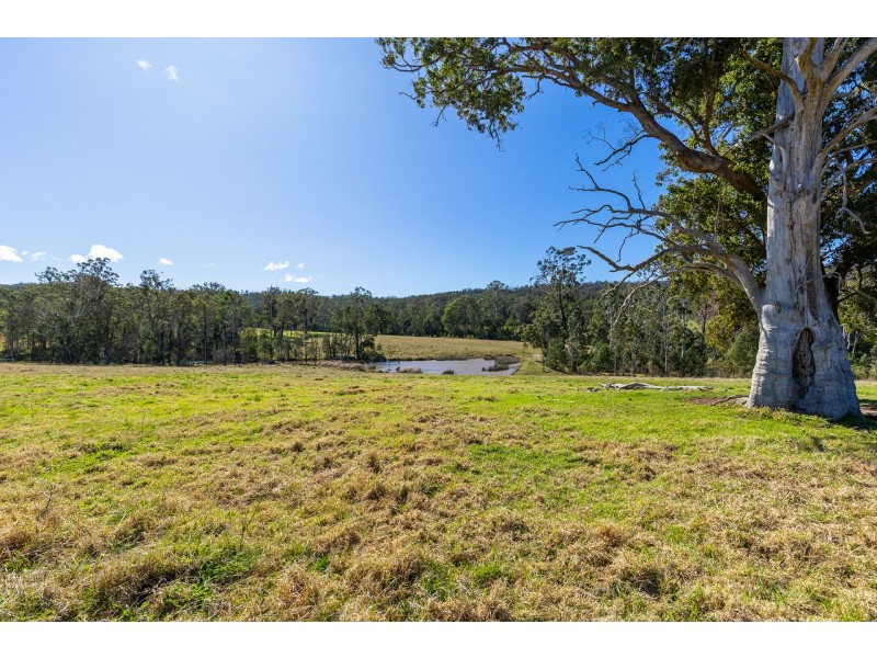 9859 Princes Highway, Cobargo NSW 2550