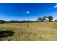 9859 Princes Highway, Cobargo NSW 2550