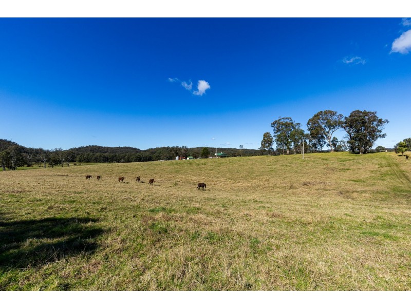 9859 Princes Highway, Cobargo NSW 2550