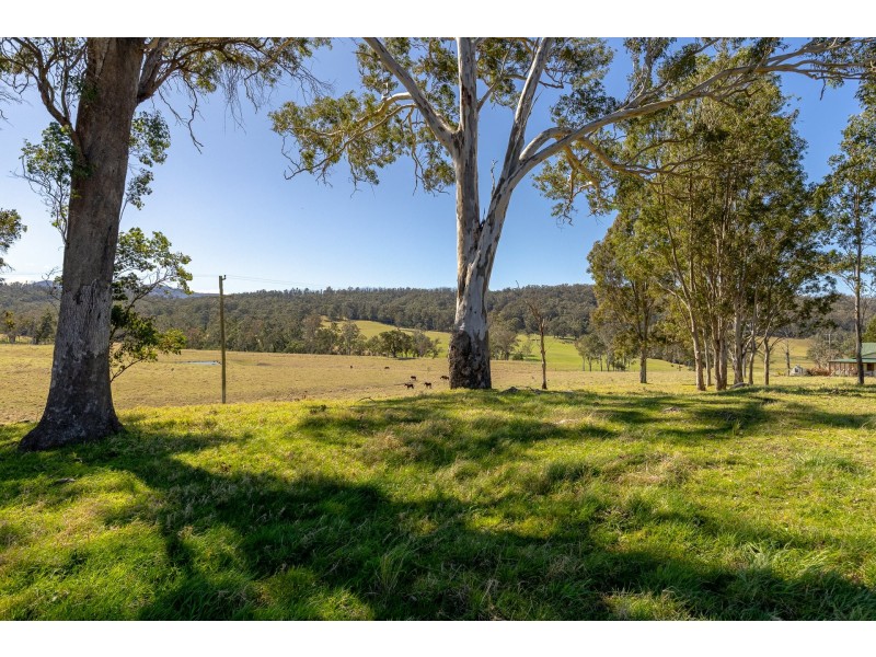 9859 Princes Highway, Cobargo NSW 2550