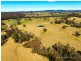 9859 Princes Highway, Cobargo NSW 2550
