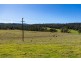 9859 Princes Highway, Cobargo NSW 2550