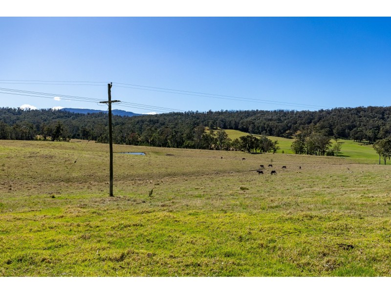 9859 Princes Highway, Cobargo NSW 2550