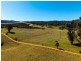 9859 Princes Highway, Cobargo NSW 2550