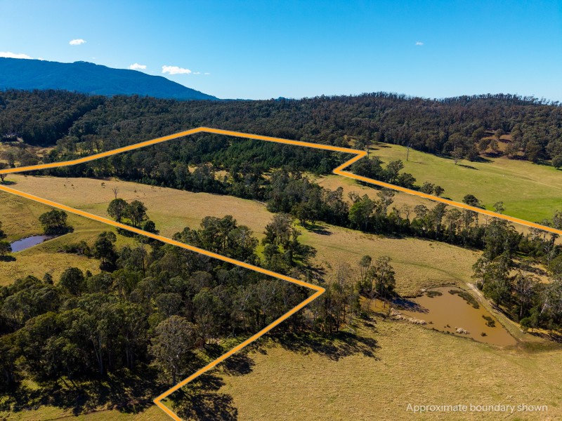9859 Princes Highway, Cobargo NSW 2550