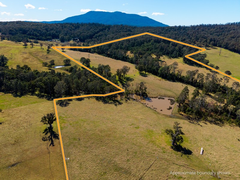 9859 Princes Highway, Cobargo NSW 2550