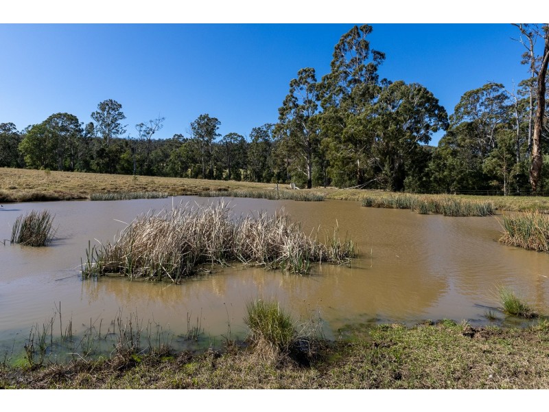 9859 Princes Highway, Cobargo NSW 2550