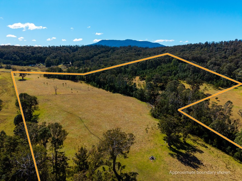 9859 Princes Highway, Cobargo NSW 2550