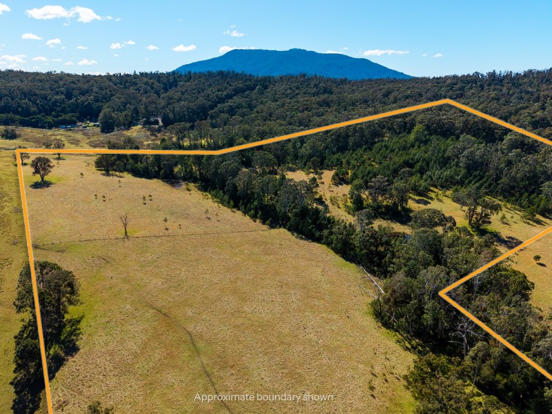 9859 Princes Highway, Cobargo NSW 2550