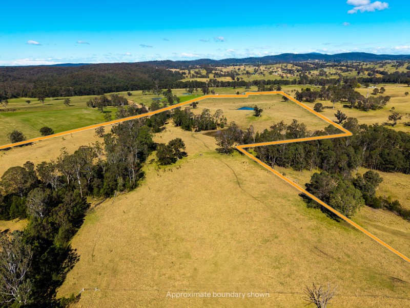 9859 Princes Highway, Cobargo NSW 2550