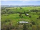 161 Mogilla Road, Candelo NSW 2550