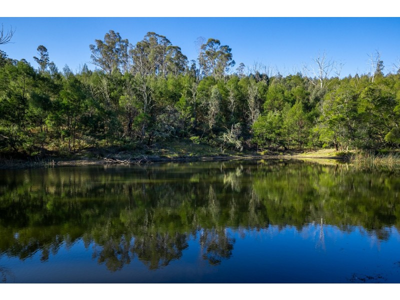 Lot 1124 Upper Brogo Road, Brogo NSW 2550