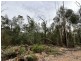 Lot 22 DP Wattlegrove Road, Cobargo NSW 2550