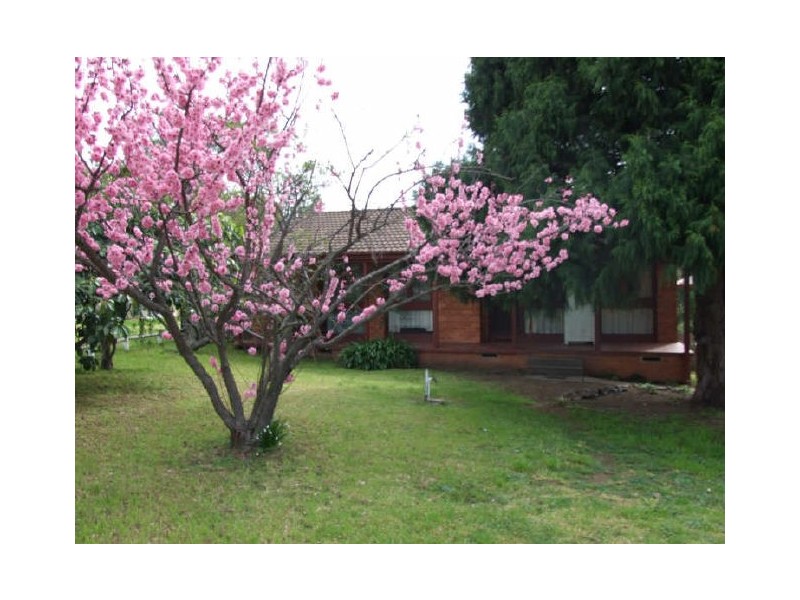 173 Newtown Road, Bega NSW 2550