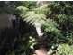257 Auckland Street, Bega NSW 2550