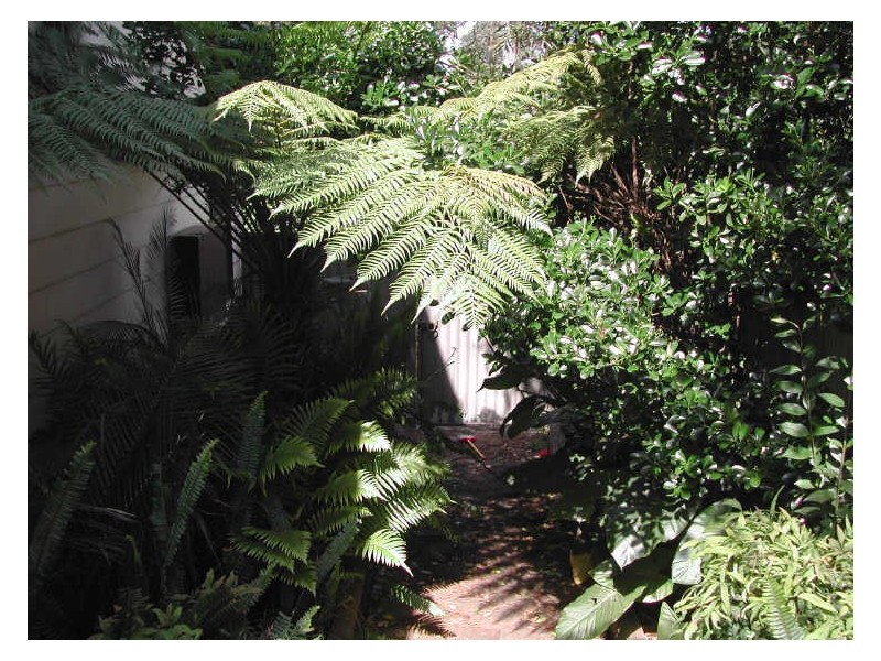 257 Auckland Street, Bega NSW 2550