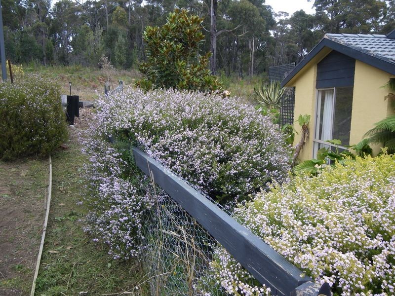 479 Sapphire Coast Drive, Merimbula NSW 2548