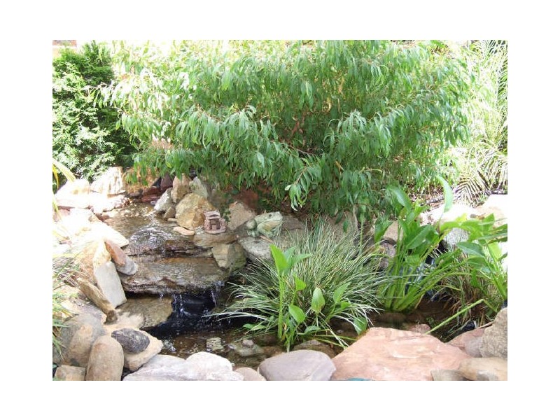 1 Gordon Street, Bega NSW 2550
