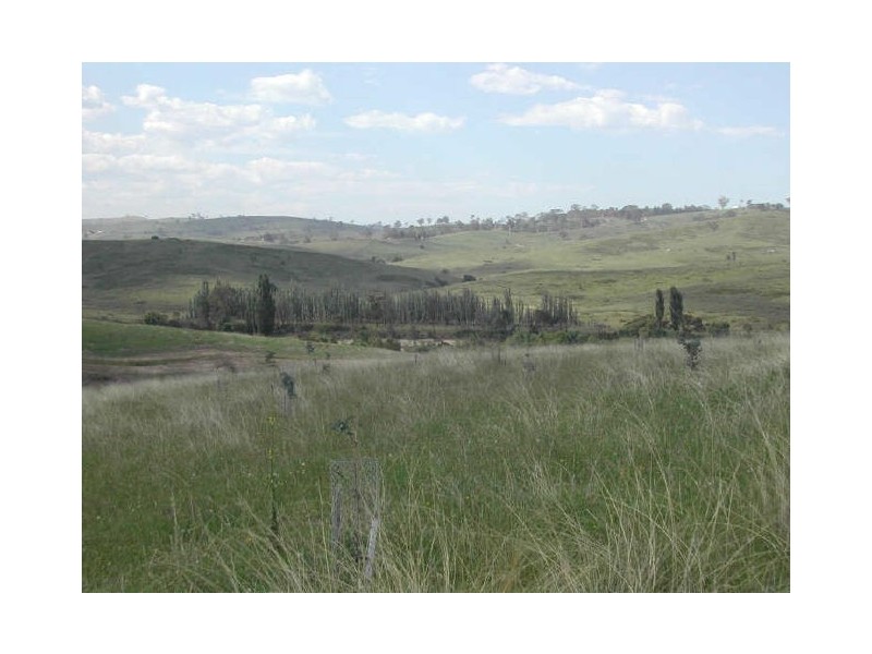 Candelo NSW 2550