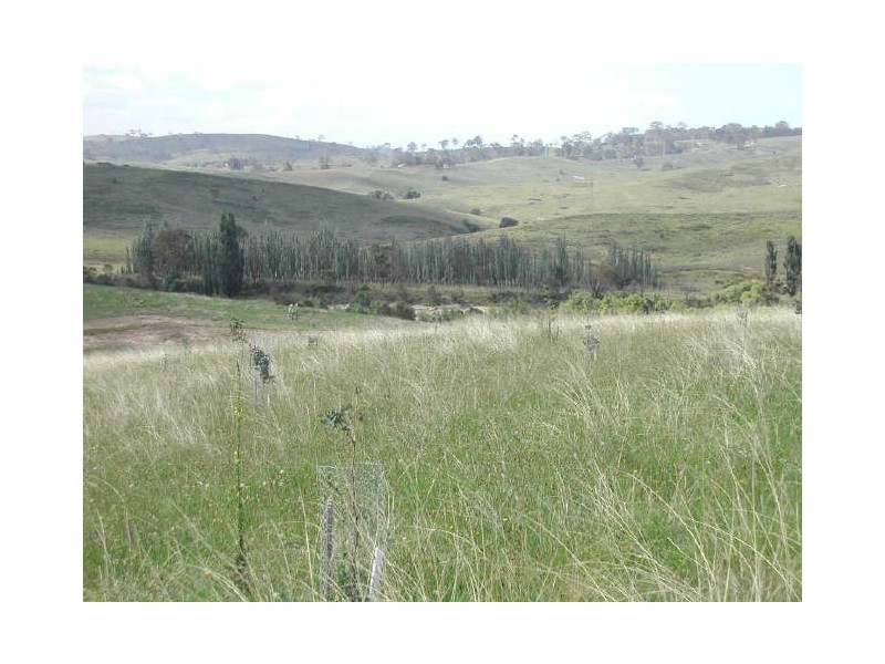 Candelo NSW 2550