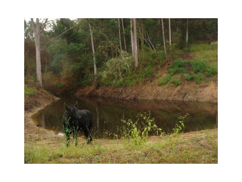 1002 Christophers Road, Quaama NSW 2550