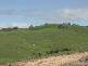 Angledale NSW 2550