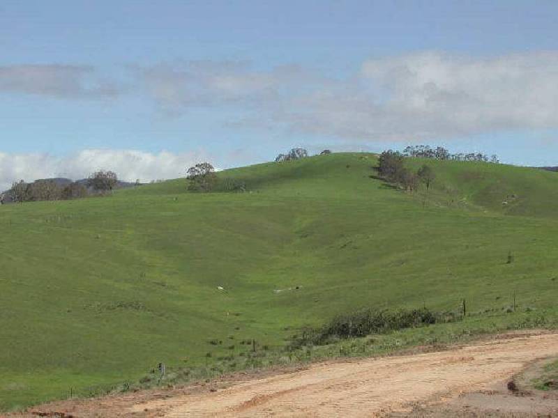 Angledale NSW 2550