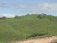 Angledale NSW 2550