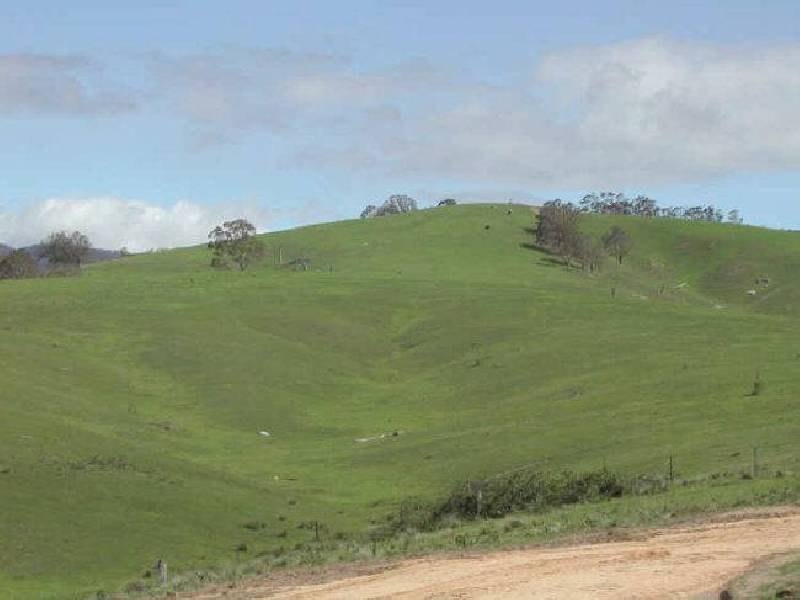Angledale NSW 2550