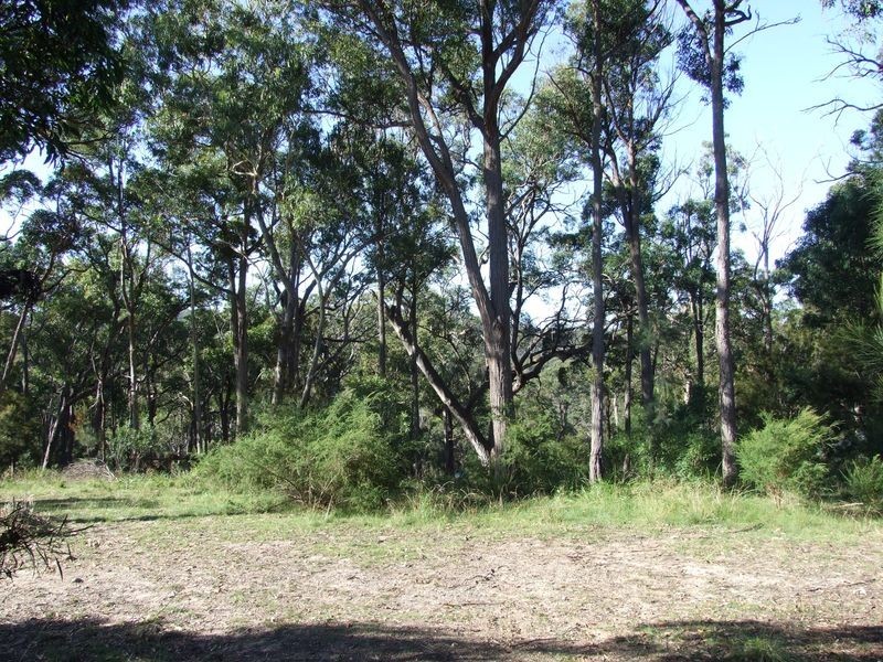 Lot 29 Emerald Crescent, Kalaru NSW 2550