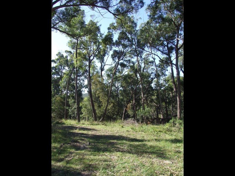Lot 29 Emerald Crescent, Kalaru NSW 2550