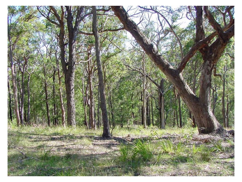 Lot 29 Emerald Crescent, Kalaru NSW 2550