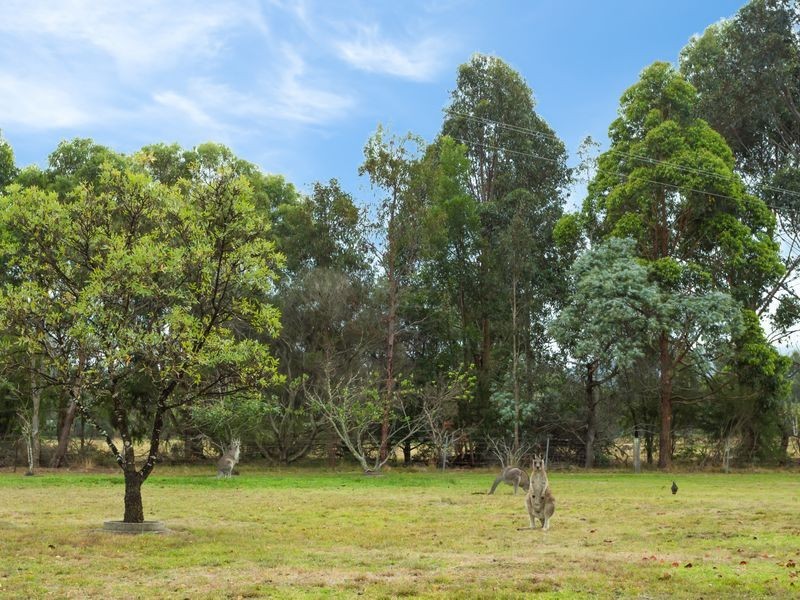 75 Bournda Road, Bournda NSW 2550