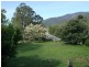 12780 Princes Highway, Brogo NSW 2550